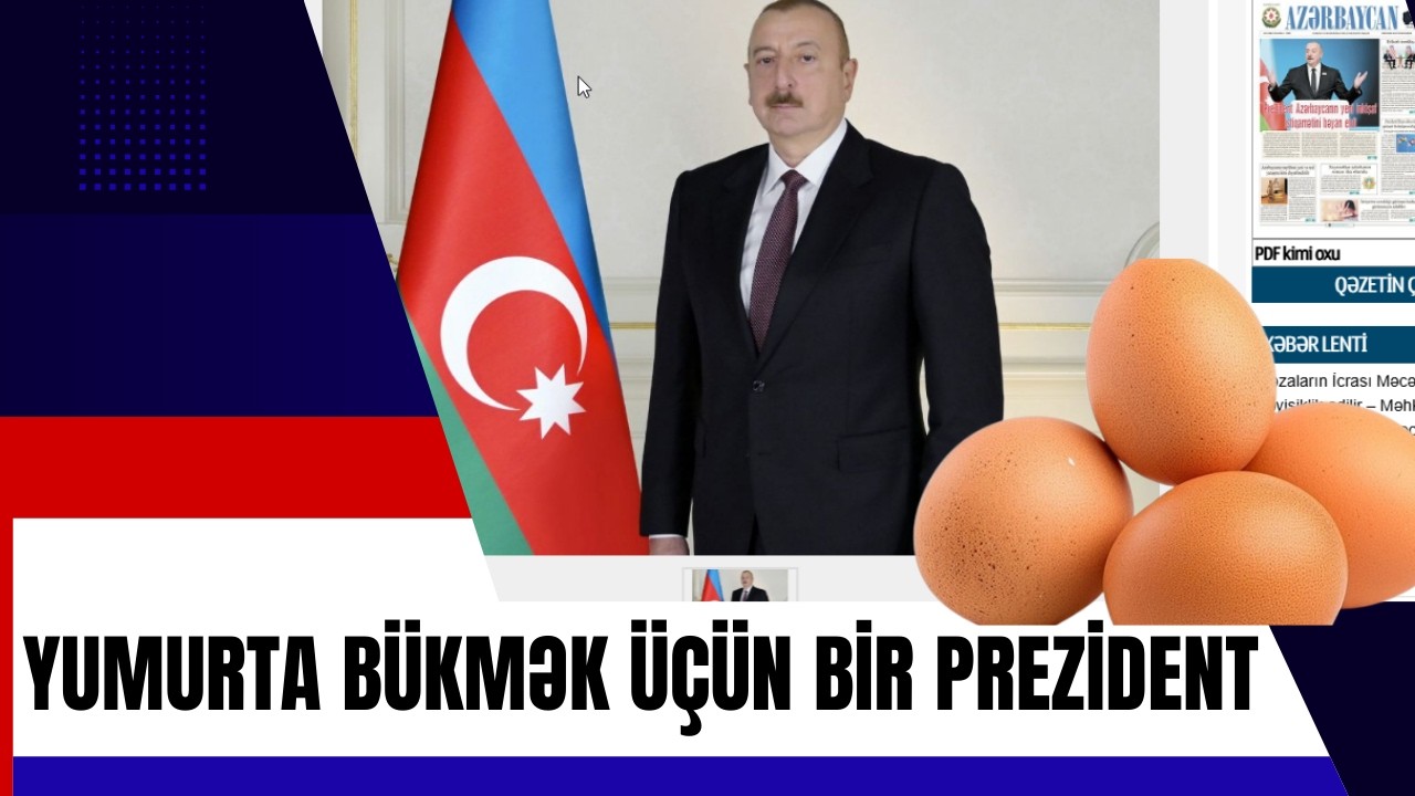 İlham və Mehribanın malyar sexində nə ölümü var? İcra başçılarına tapşırılan biyar öhdəliyi.