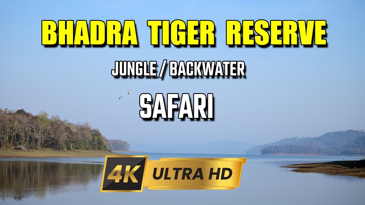 Bhadra Wildlife Sanctuary and Tiger Reserve | Jungle Safari & Boat Safari | With Subtitles