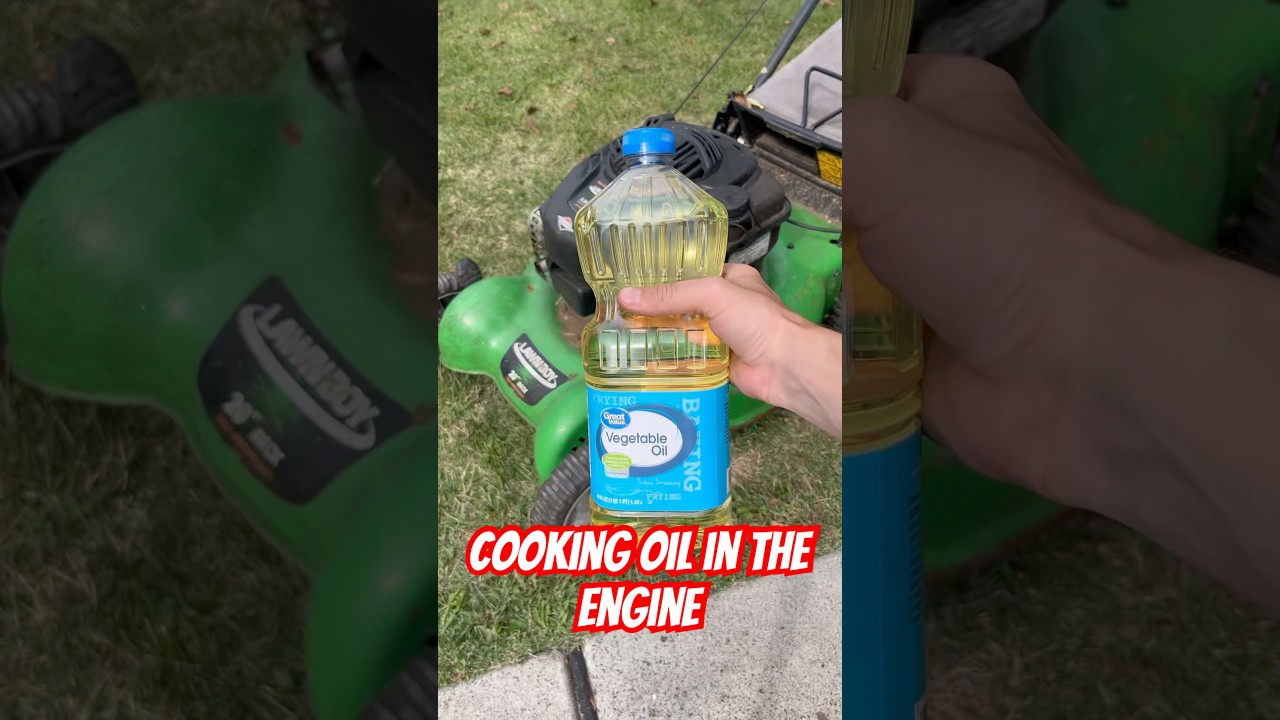 Cooking oil as engine oil? Let&rsquo;s see what happens! #cookingoil #engineoil #lawnmower #mower