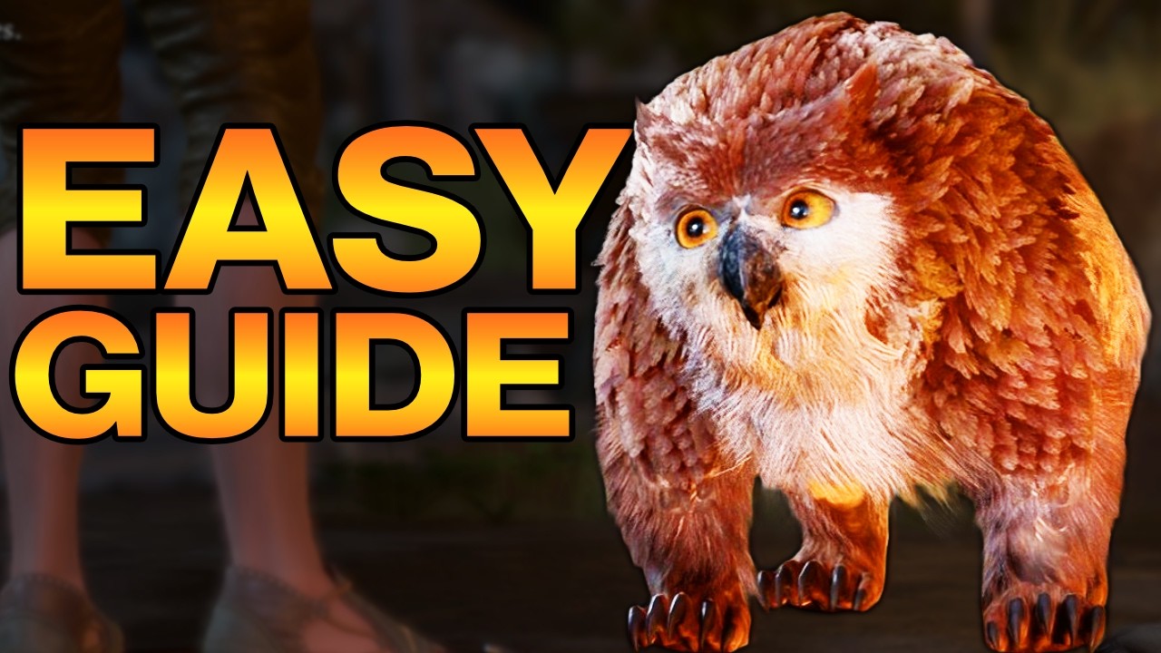 How to Recruit the Owlbear Cub in Baldur&rsquo;s Gate 3 (Step-by-Step Guide)