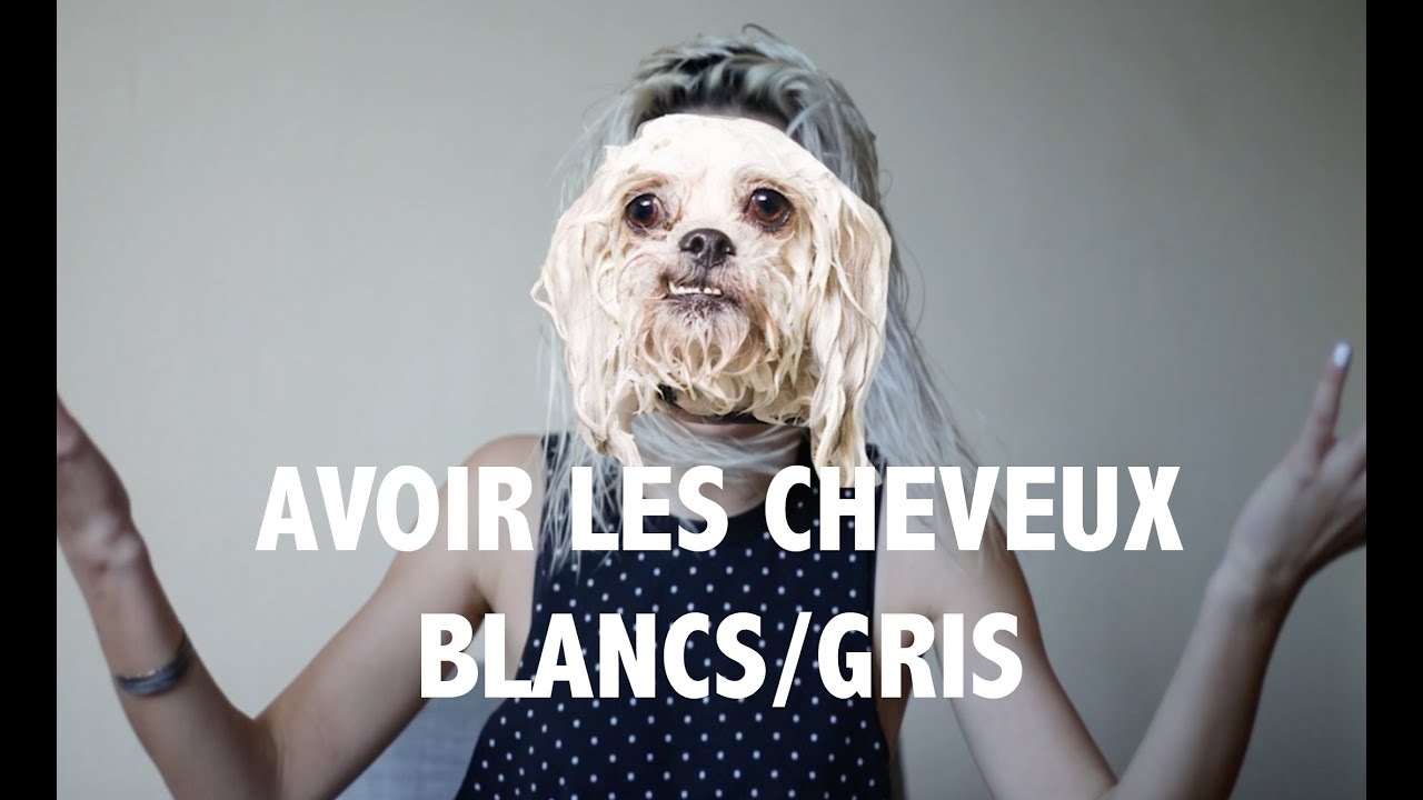 AVOIR LES CHEVEUX BLANCS/GRIS (entretien, coût...) | CANDY ROSIE