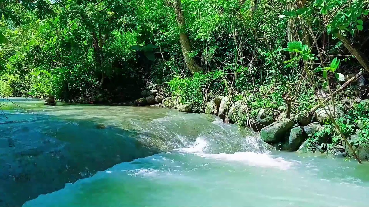 Green Valley Waterfall Gentle Flowing Water for Instant Calm