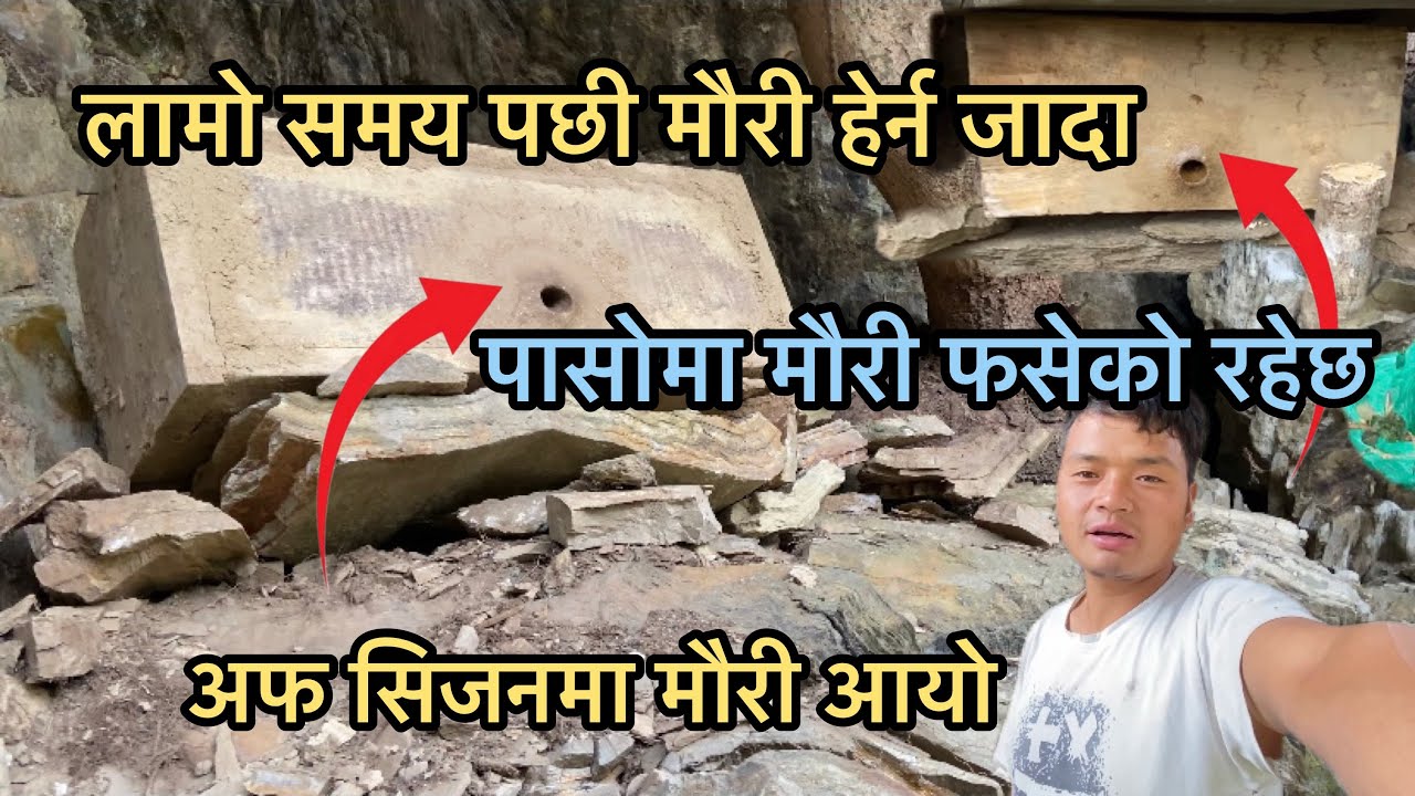जॅगलमा मौरिलाई पासो थापेको लामो समय पछी हेर्न जादा मौरि आएको रहेछ