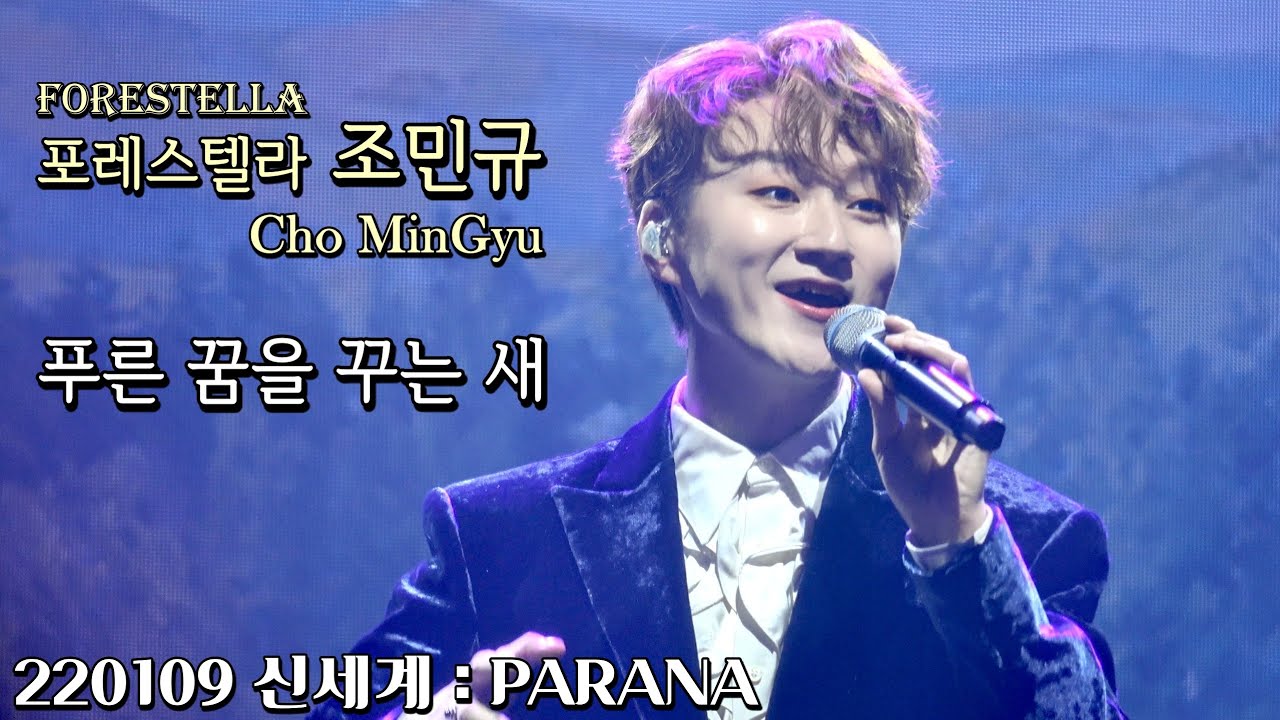 푸른 꿈을 꾸는 새 | 포레스텔라 조민규(Cho MinGyu) | 220109 신세계 : PARANA