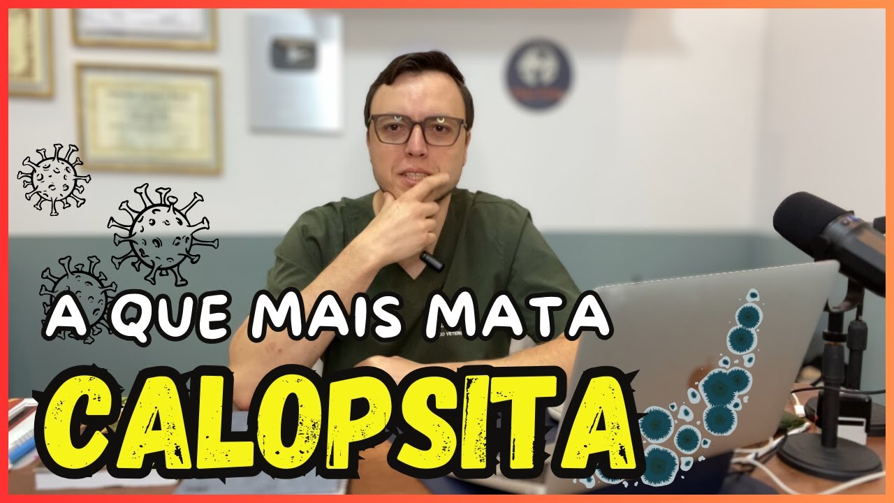 MEGABACT&Eacute;RIA: A DOEN&Ccedil;A QUE MAIS MATA CALOPSITAS!