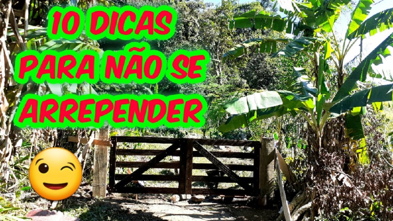 10 DICAS PARA COMPRAR UM SÍTIO E NÃO SE ARREPENDER/(PROPRIEDADE RURAL/CHÁCARA)/Bora pra Roça?
