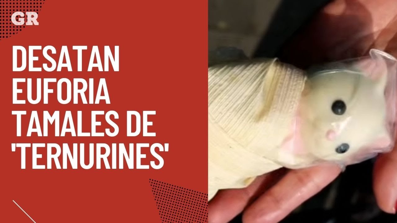 Desatan euforia tamales de 'Ternurines'