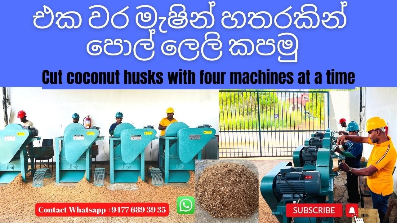 එක වර මැෂින් හතරකින් පොල් ලෙලි කපමු l Cut coconut husks with four machines at a time