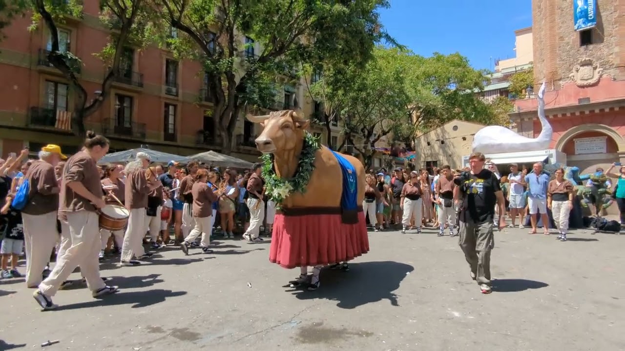 Entrada a plaça del nou Bou de Gràcia de Barcelona!