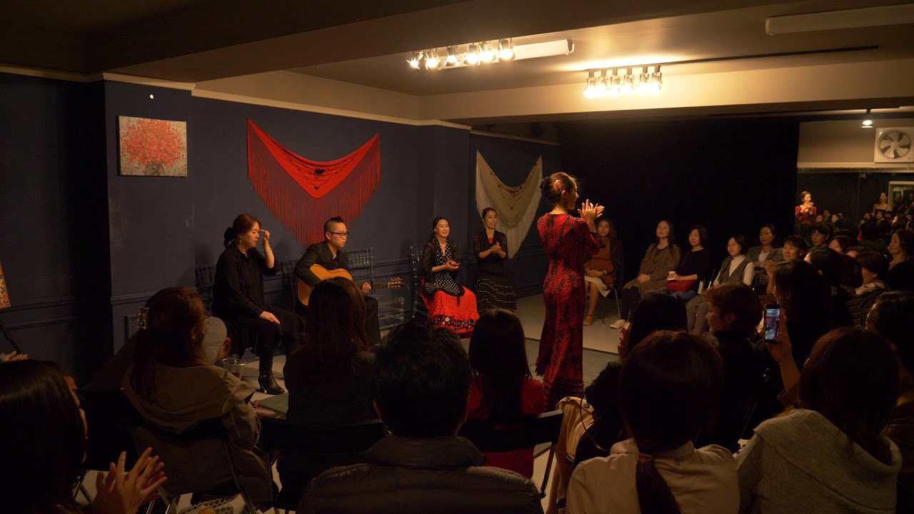 신사동플라멩코 하우스콘서트 flamenco corea flamenco korea