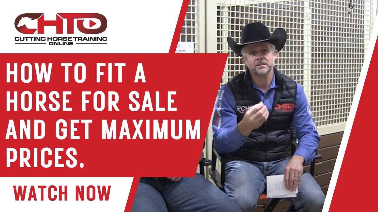 How To Fit A Horse For Sale And Get Maximum Prices.