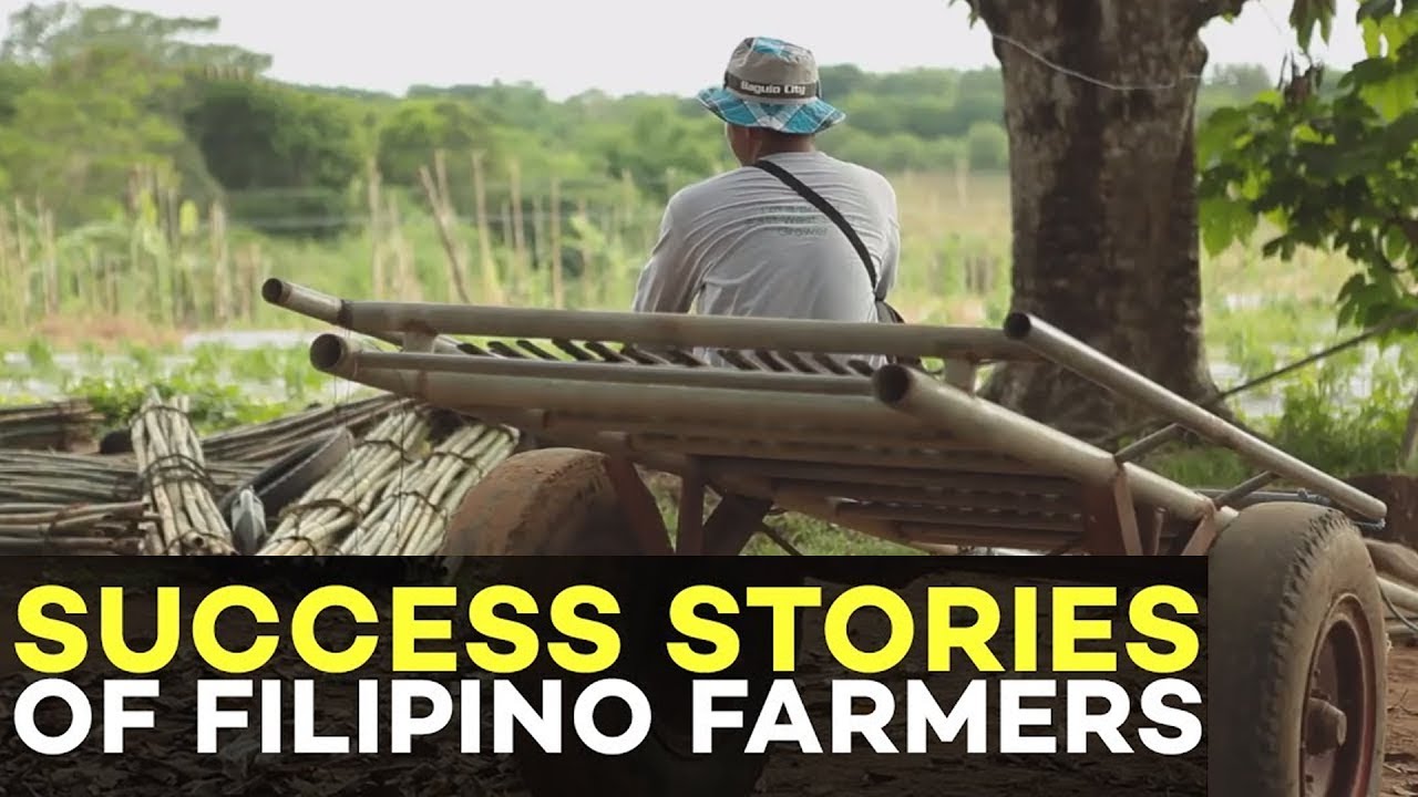 Success Stories of Filipino Farmers: Sacrificed Schooling to Help his Father in Vegetable Farming