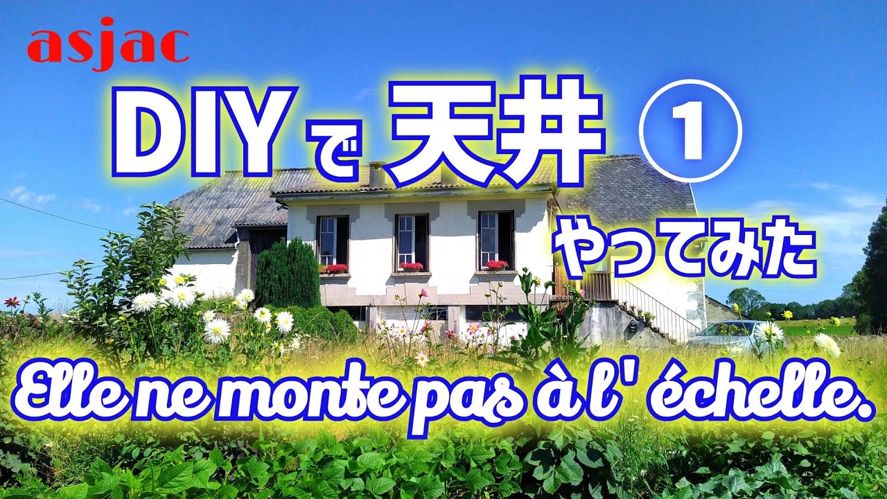 【フランス古民家再生】#81 素人には簡単にいかない天井DIY①/餃子を食べる道のり(ニラ問題) Elle ne monte pas à l'échelle.#フランス #古民家 #国際結婚