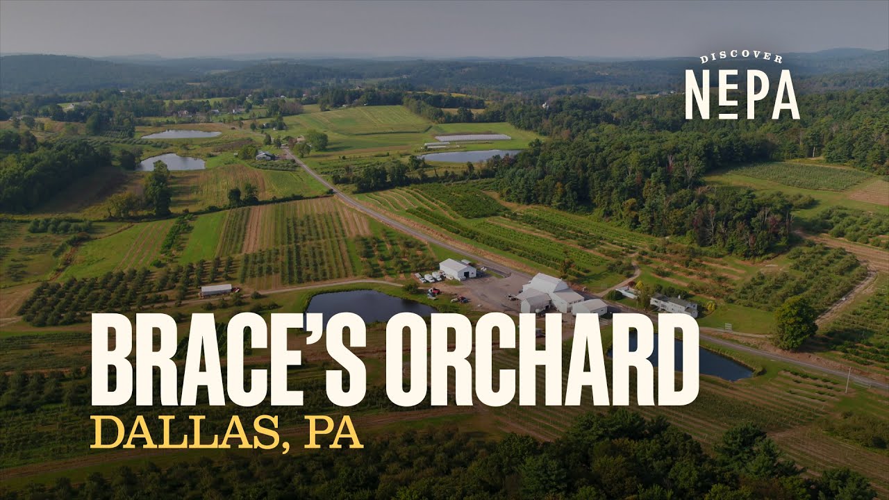 Brace's Orchard | Dallas, PA