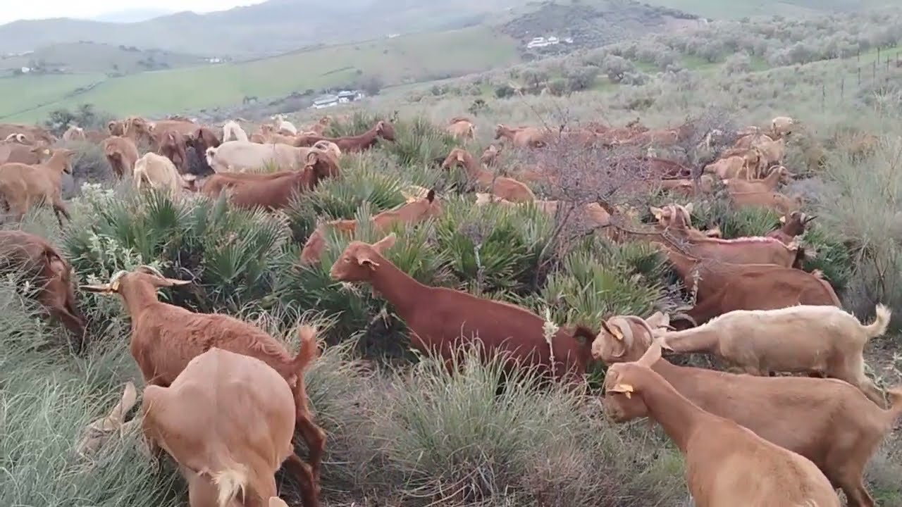 سبب الغياب ديالي على اليوتيوب اسألكم الله ادعاء ربي يسهل على الجميع 