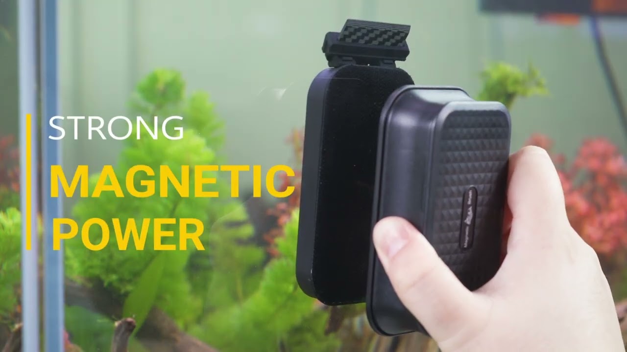 Clean Inside & Out&ndash; Felt + Nylon Combo for a Spotless Aquarium! 🔍🧽#aqqa #cleaner #cleaning #aquarium