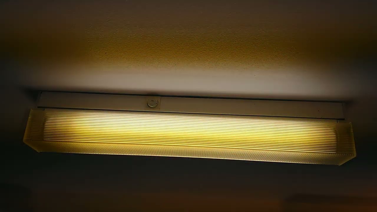 Thorn 2ft T12 Fluorescent Light Pack with Diffuser