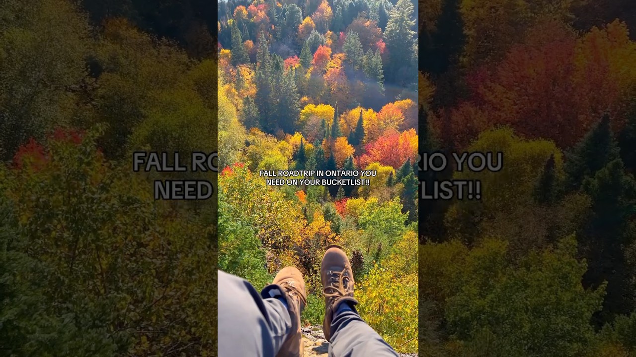 Best Fall colours in Ontario 🍁 #ontario #algonquin #fall #adventuretravel #explorecanada
