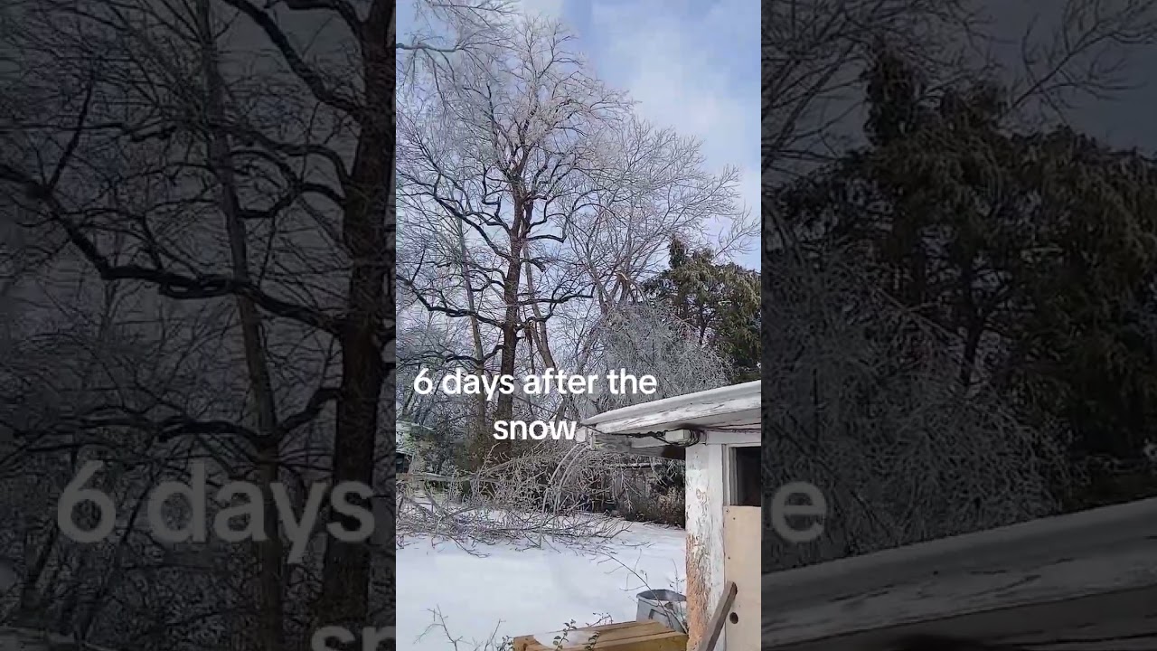 Drive  or dont on ice