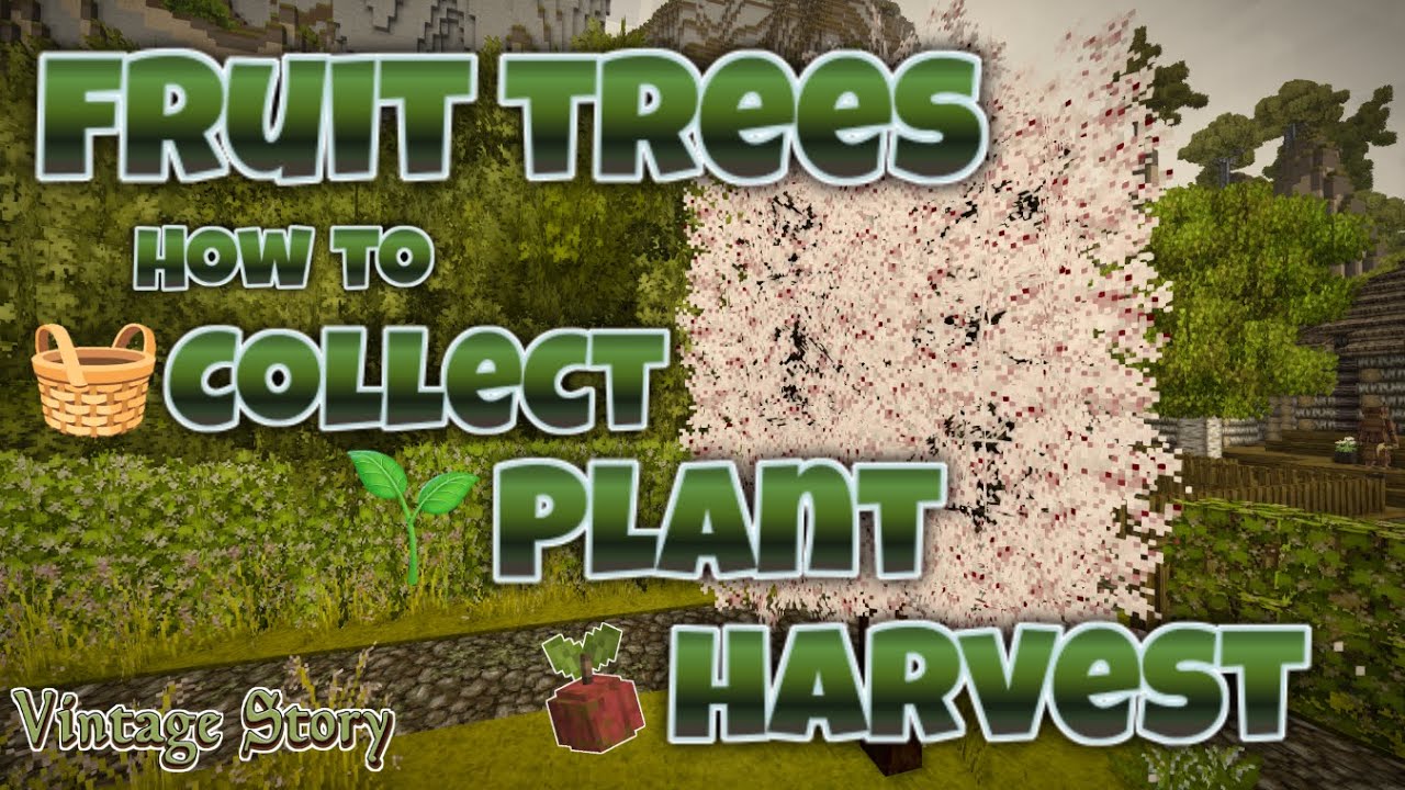 BEAUTIFUL & USEFUL - FRUIT TREES🌳| VINTAGE STORY TUTORIAL