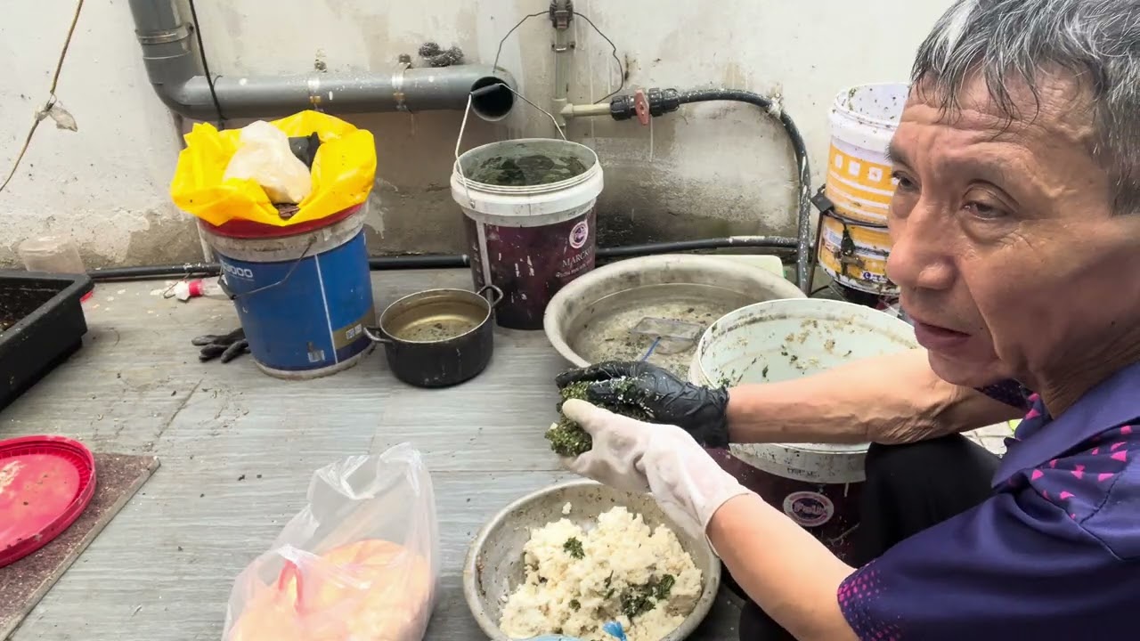 Phối trộn thức ăn cho gà với 6 loại cây thảo dược 