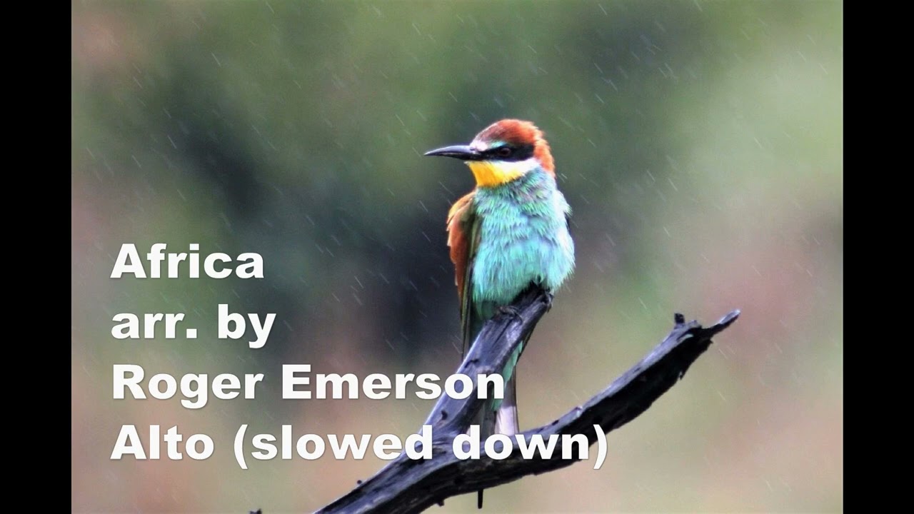Africa ALTO SATB arr. by Roger Emerson (slowed down)
