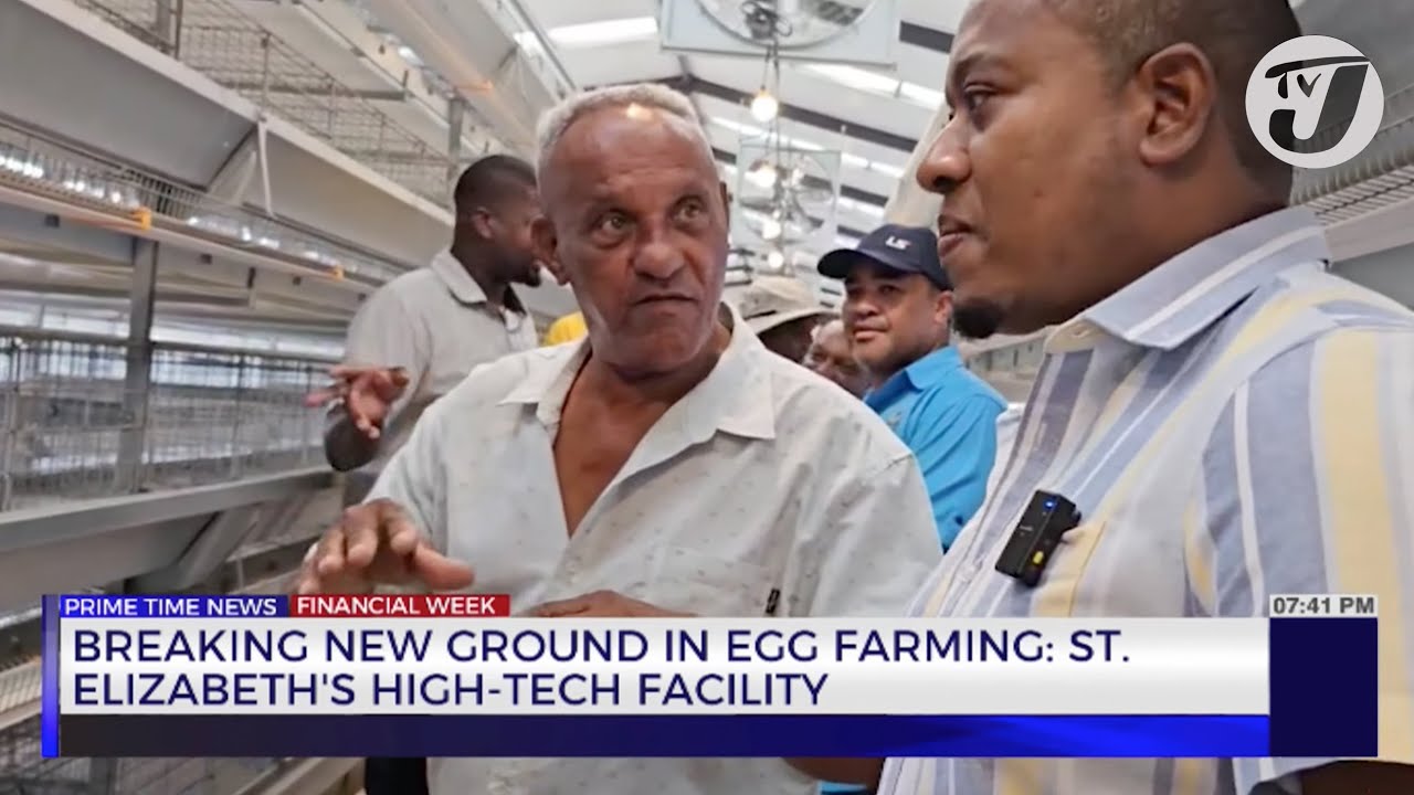 Breaking New Ground in Egg Farming; St. Elizabeth's High-Tech Facility | TVJ Business Day