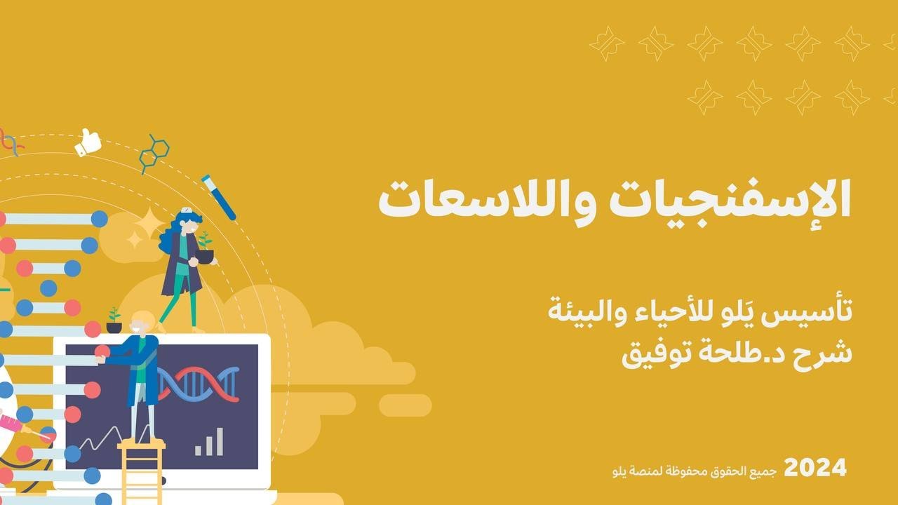 أحياء 1 | الإسفنجيات واللاسعات