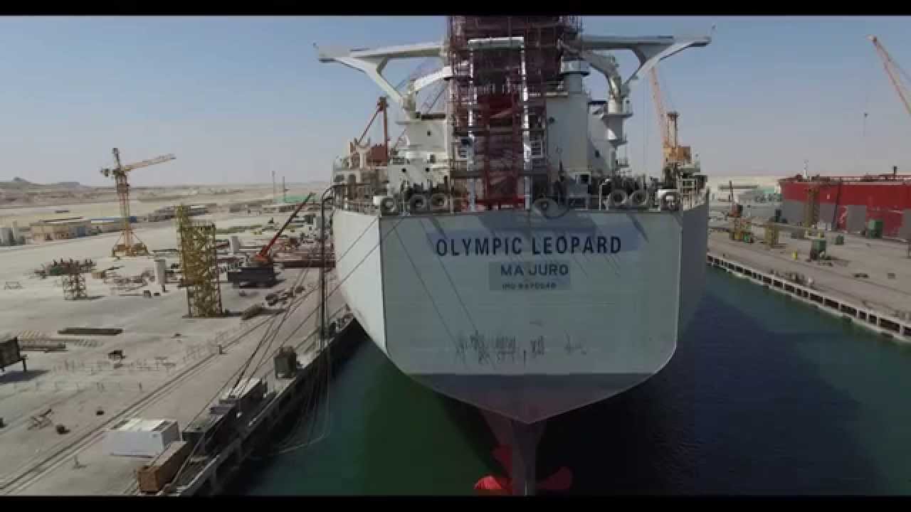 Olympic Leopard