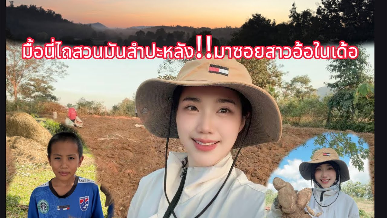 Ep93 มื้อนี่สาวอ้อมาเก็บมันอยู่สวน เมื่อยหลายเด้อ