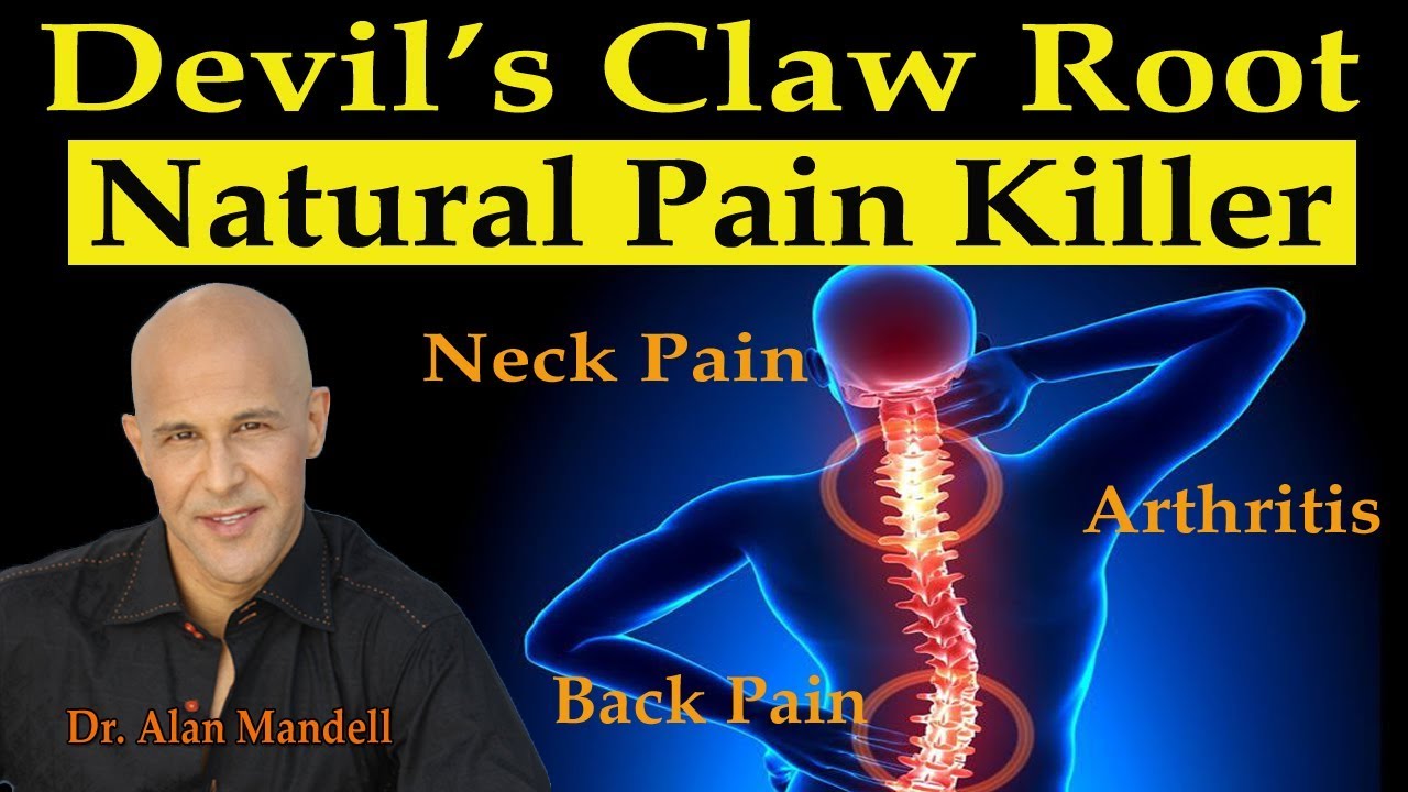 Devil's Claw Root - Natures Super Pain Killer for Neck/Back Pain, Arthritis, Joint Pain