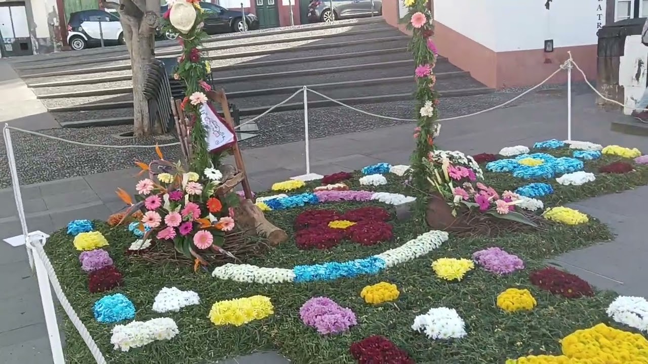 FESTA da FLOR Cortejo Infantil  Muro da Esperan&ccedil;a 2025 16