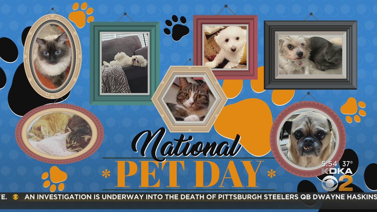 Celebrating National Pet Day