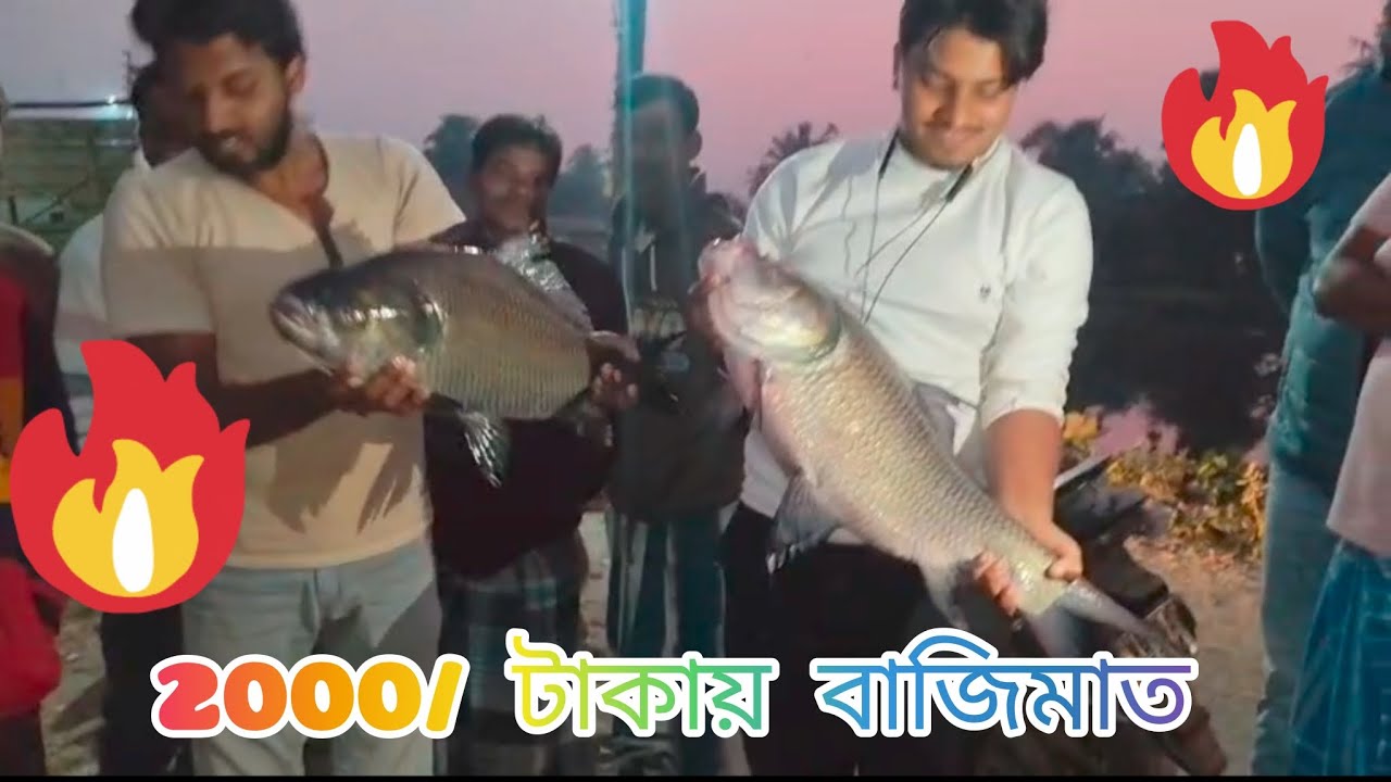 দাদারা এতো মাছ ধরেছে যে পুকুরম্যালিক এর মাথায়হাত#viral#fish#fishingtips#fishingequipment#viralvideo
