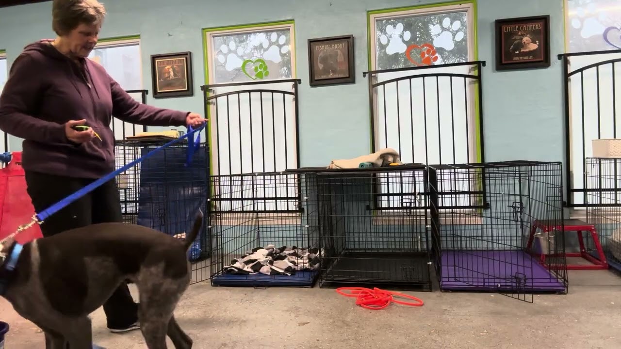Growling in the Crate