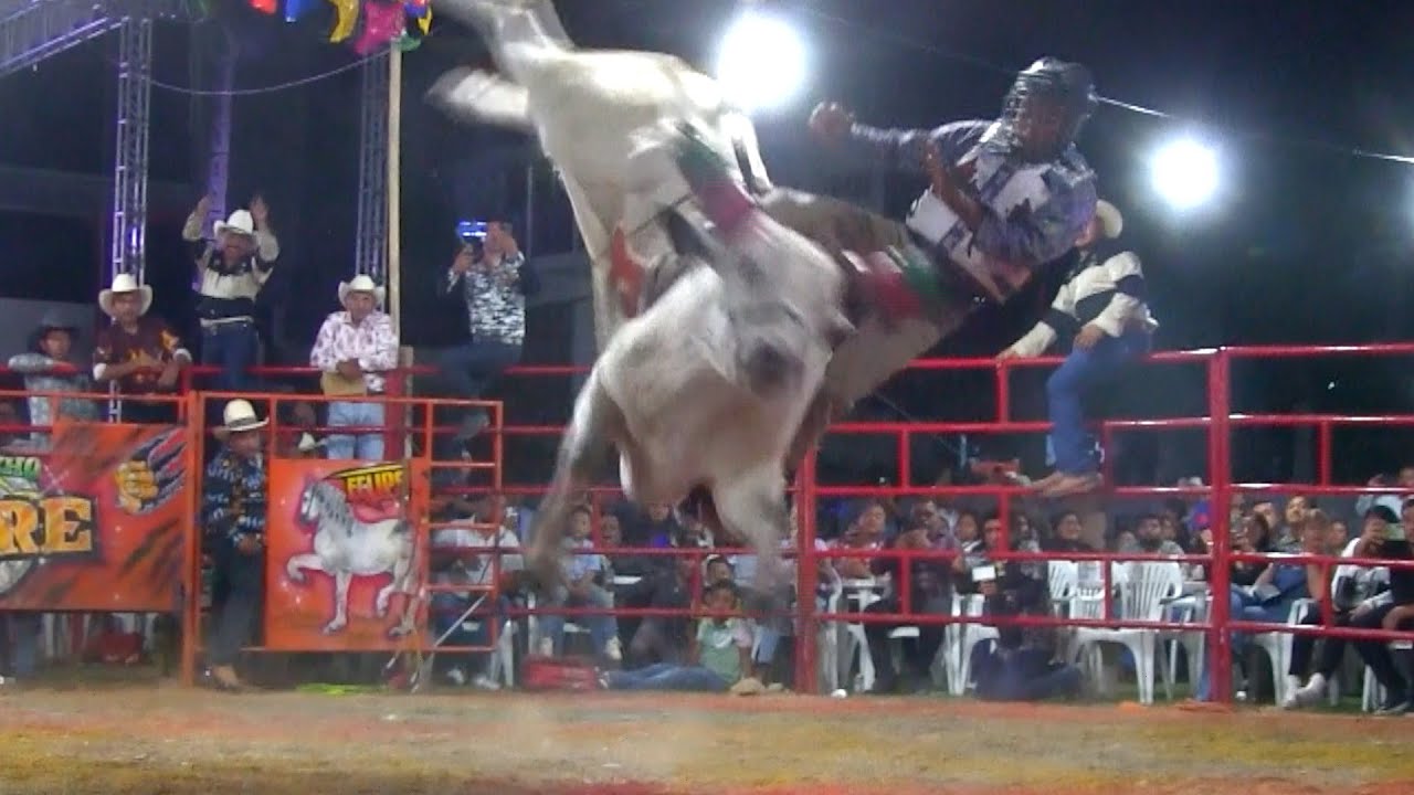 SE CAYERON LAS MURALLAS DE GUERRERO Rancho El Tigre En Xaltianguis Gro 2024