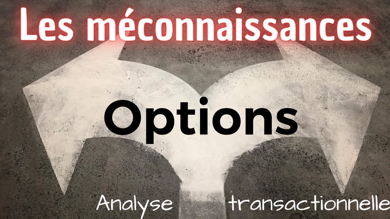 LES M&Eacute;CONNAISSANCES N&deg;3 - LES OPTIONS