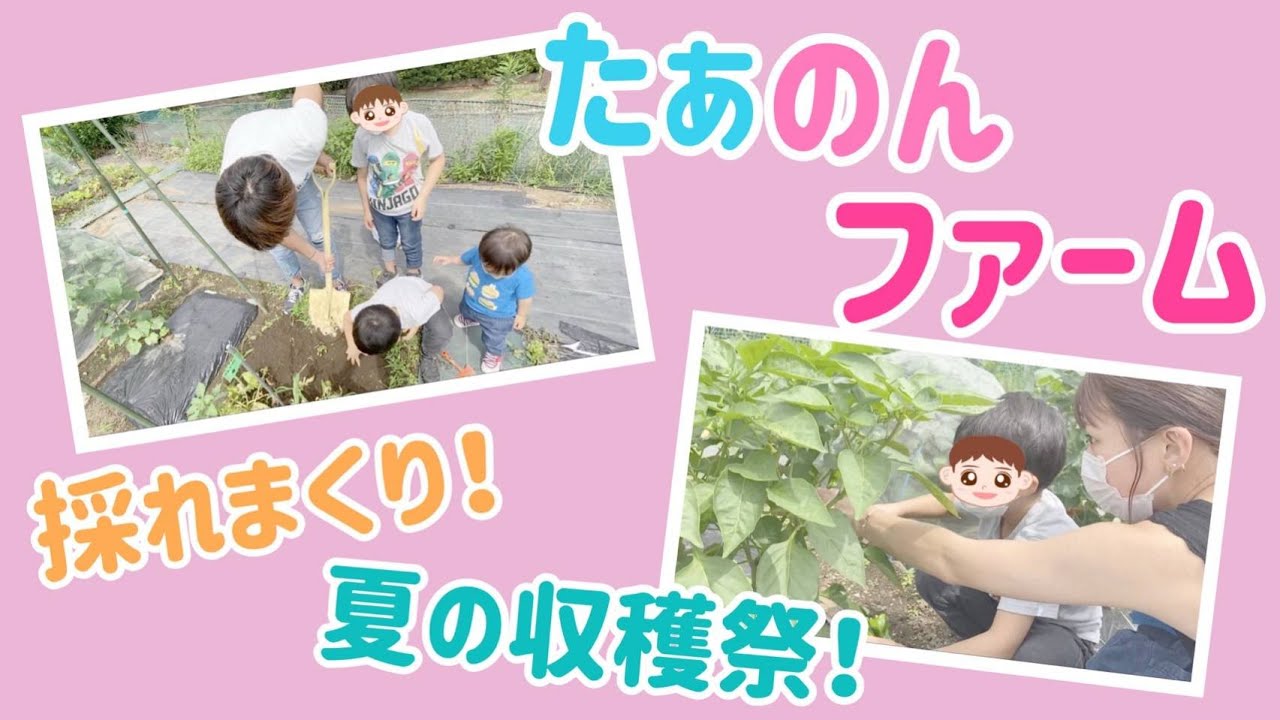 【夏の収穫祭！】たぁのんファームで採れた野菜で晩ご飯