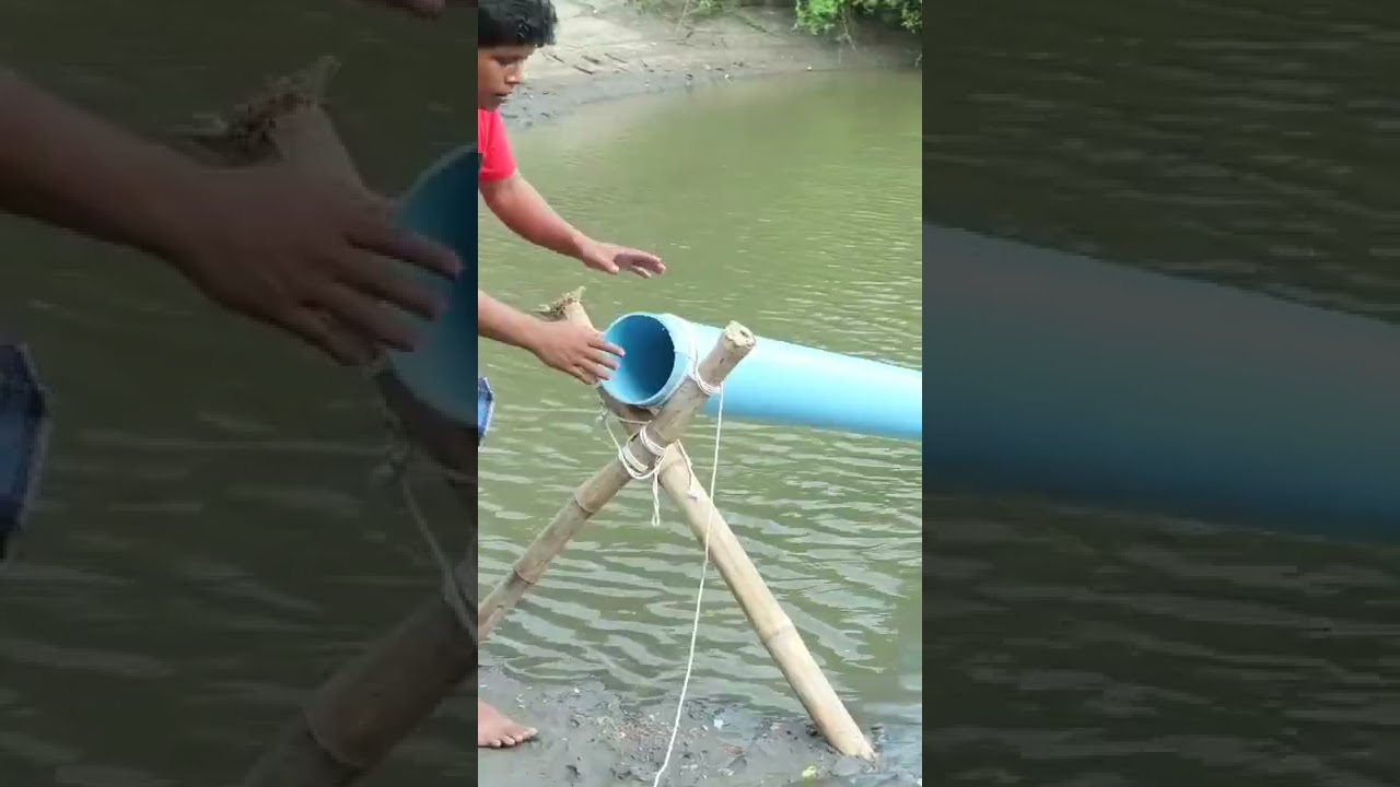 Unique Fish Trap Using PVC Pipe#shorts