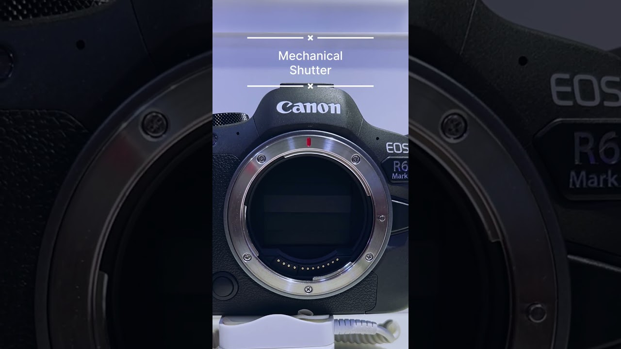 Canon R6 Mark II High Speed Shutter Sound|Mechanical vs Electric Shutter   #camera #canonrf #rflens