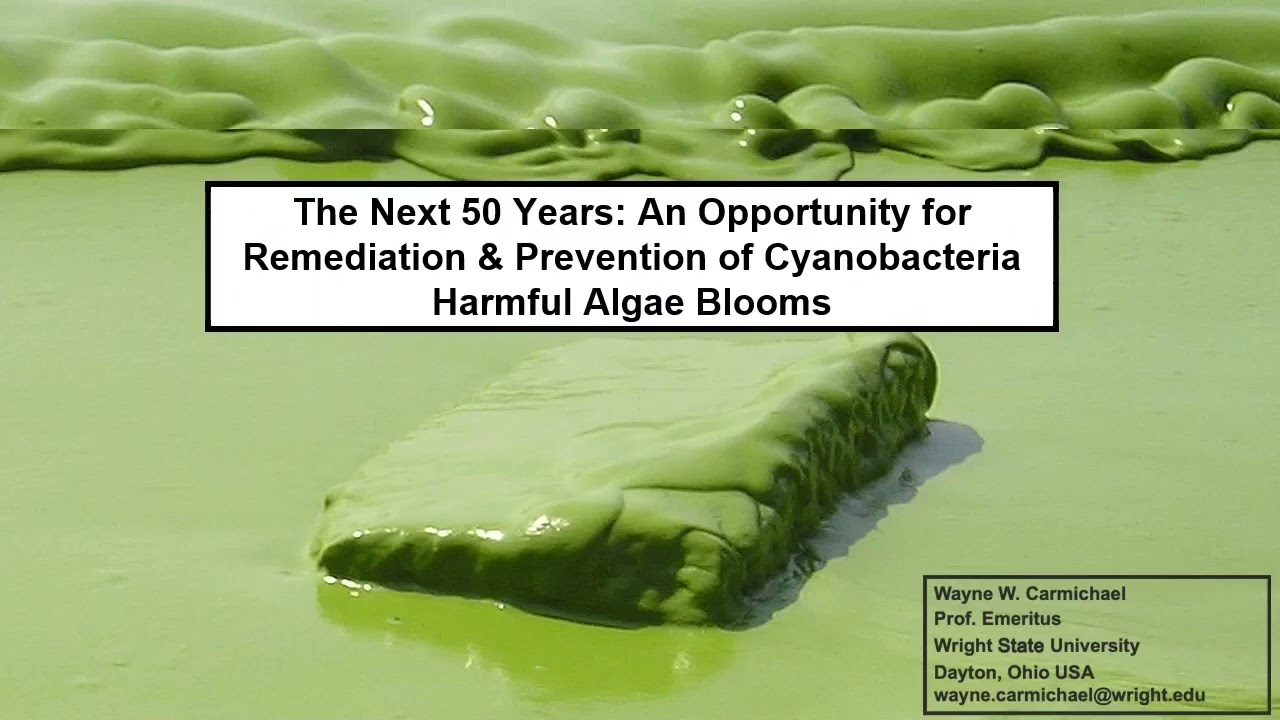 A Paradigm for Preventing CyanoHABs, presented by Wayne Carmichael, PhD, at the 11th ICTC Conference