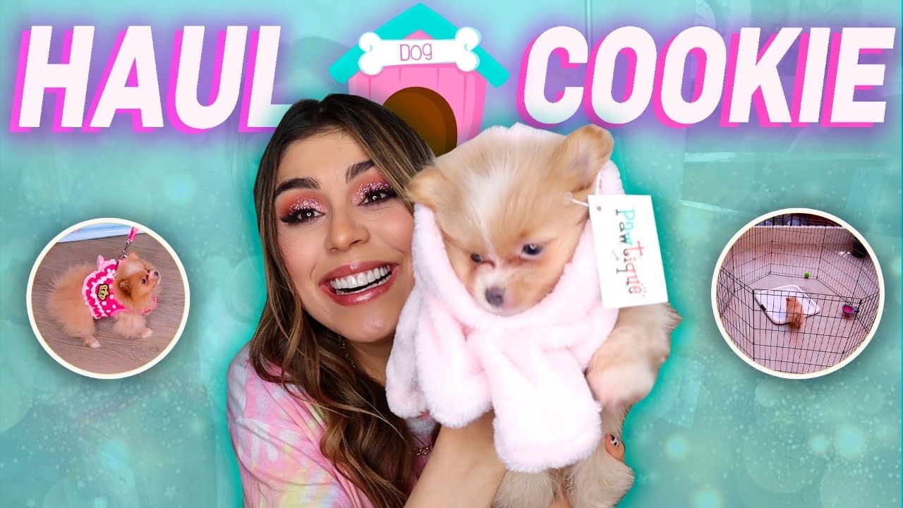 MIREN TODO LO QUE LE COMPR&Eacute; A MI PERRITA! 🐶 ( HAUL COOKIE) - Pautips