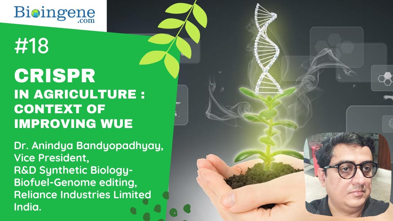 Bioingene.com Webinar Recording on CRISPR in Agriculture : context of improving WUE