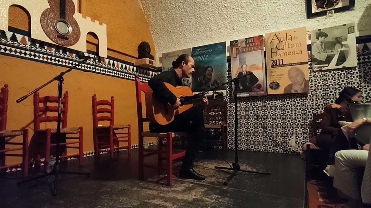 ROMÁN VICENTI