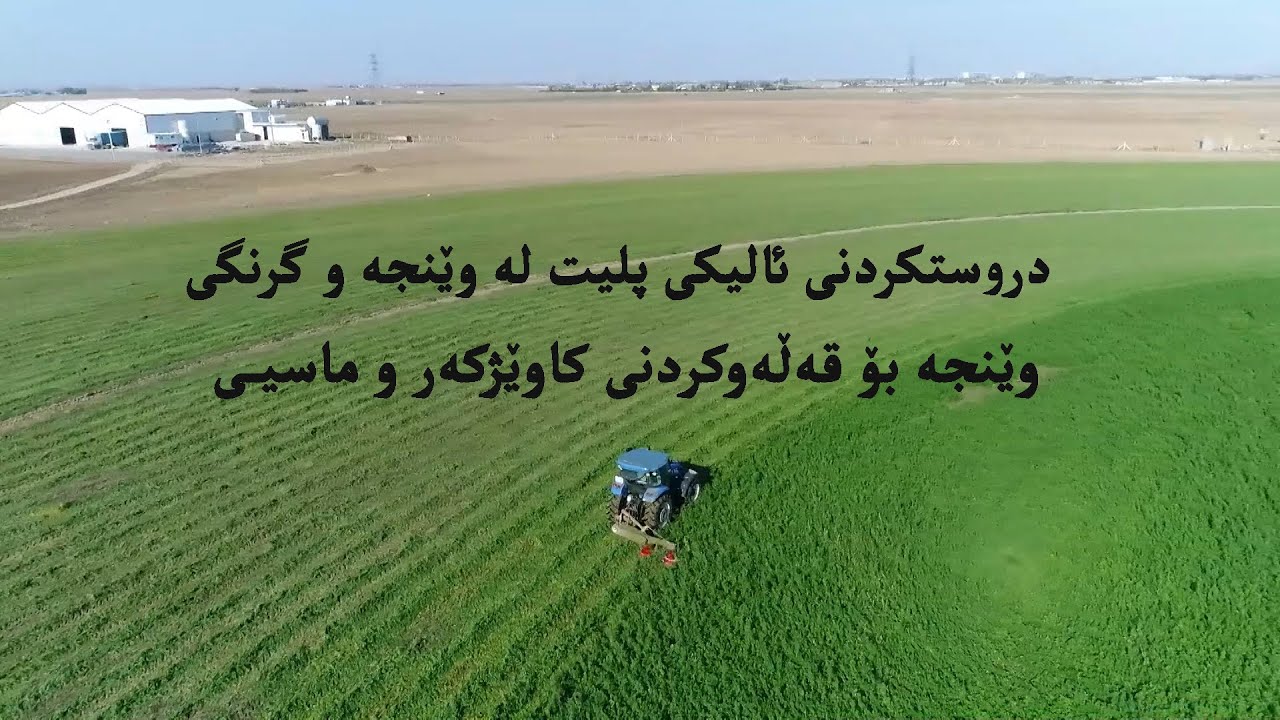 دروستکردنی ئالیکی پلیت لە وێنجە و گرنگی وێنجە بۆ قەڵەوکردنی کاوێژکەر و ماسیی