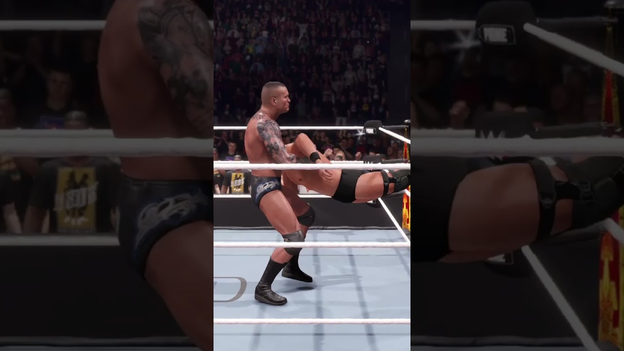 Dream Match WWE2K25 - Stone Cold Steve Austin vs Randy Orton Highlights