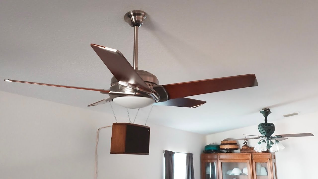 Fans in my House 11/2025 