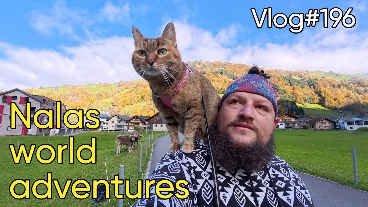 Vlog#196 - Cycling the Klausenpass with Nala cat 🐱❤️