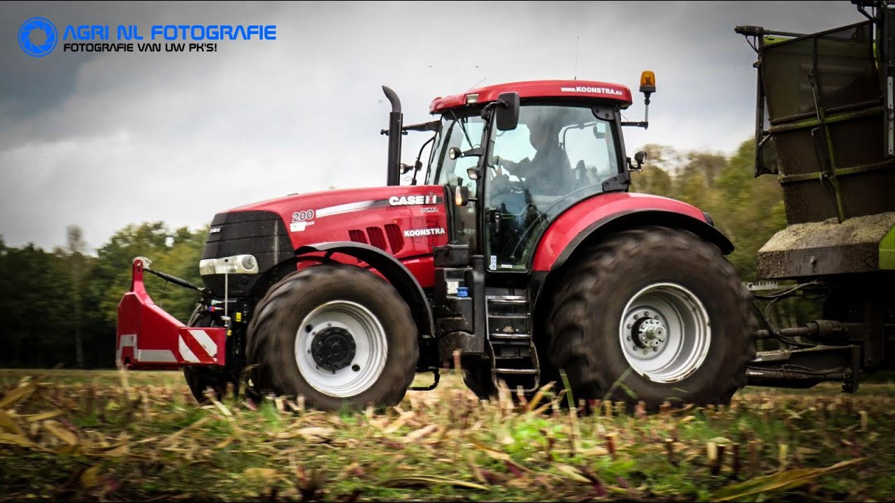 Maize Harvest 2021 | Tatra Phoenix Agritruck | Koonstra Balkbrug | Claas Jaguar 930 | NL