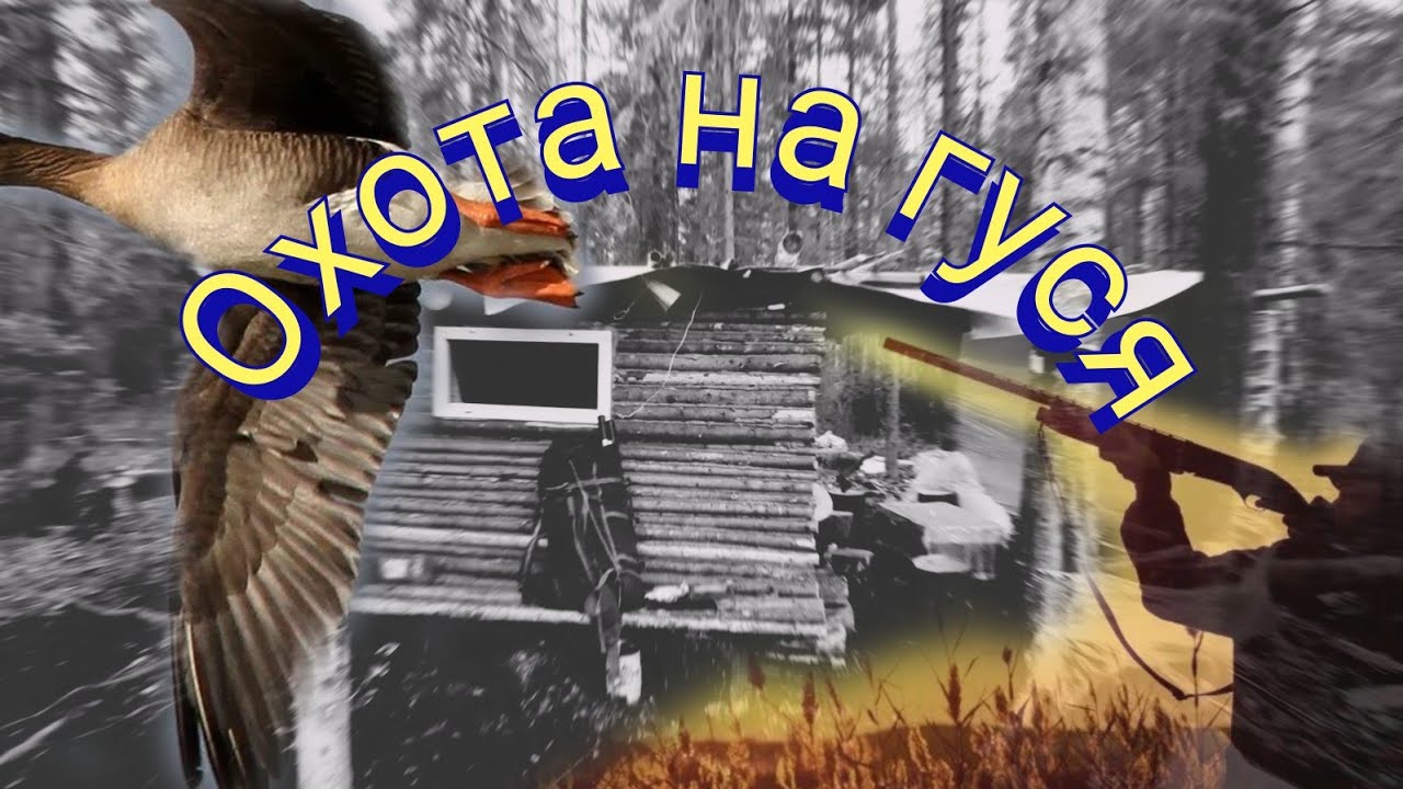ПОХОД В ЛЕС С НОЧЁВКОЙ,РЕМОНТ БАЛАГАНА(ГОТОВИМСЯ К ОХОТЕ НА ГУСЯ)